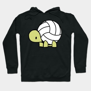 Turtle Volleyball Reptile Lover Gift Hoodie